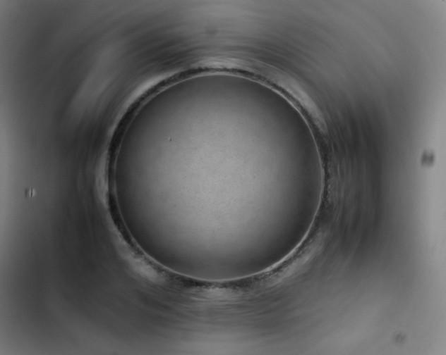 X0000103410984200809121301