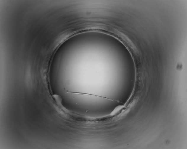 X0000103410985200809121301