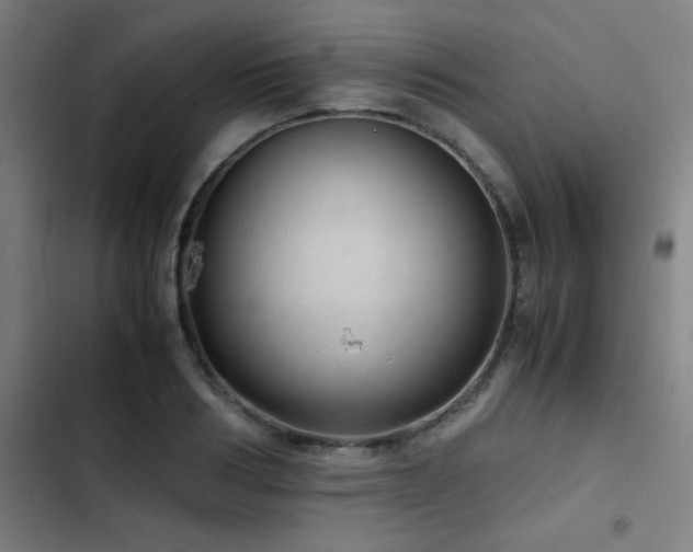 X0000103410986200809121301