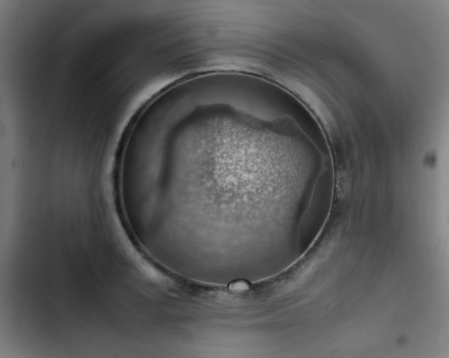 X0000103410995200809121301