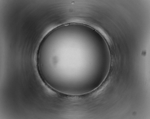 X0000103410999200809121301