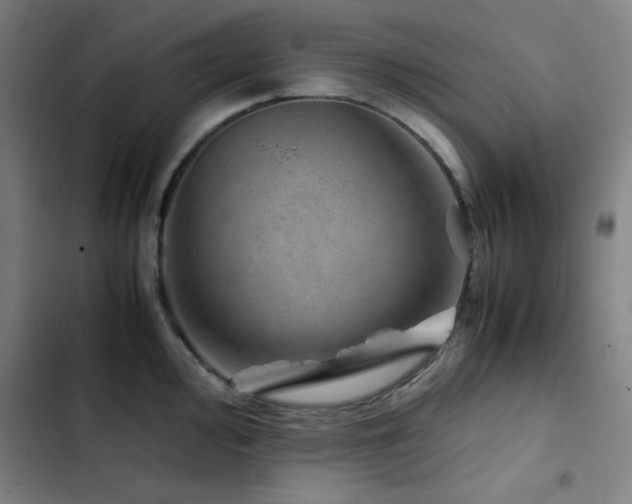 X0000103411000200809121301