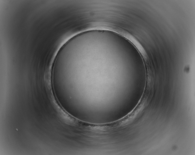 X0000103411004200809121301
