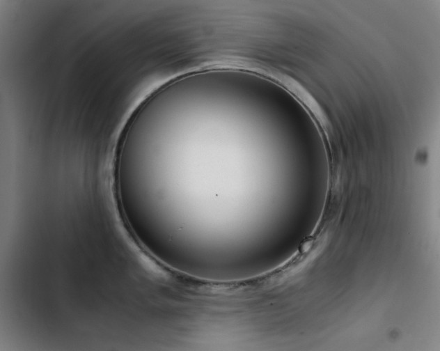 X0000103411005200809121301