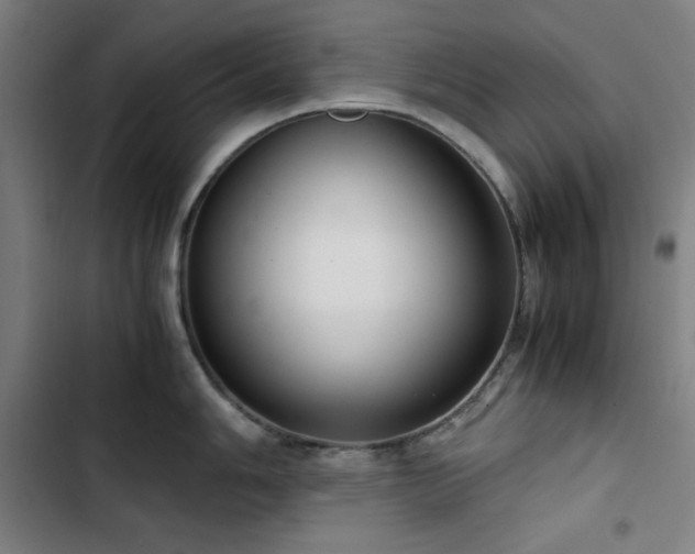 X0000103411006200809121301