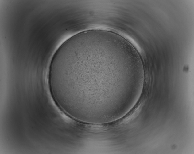 X0000103411007200809121301