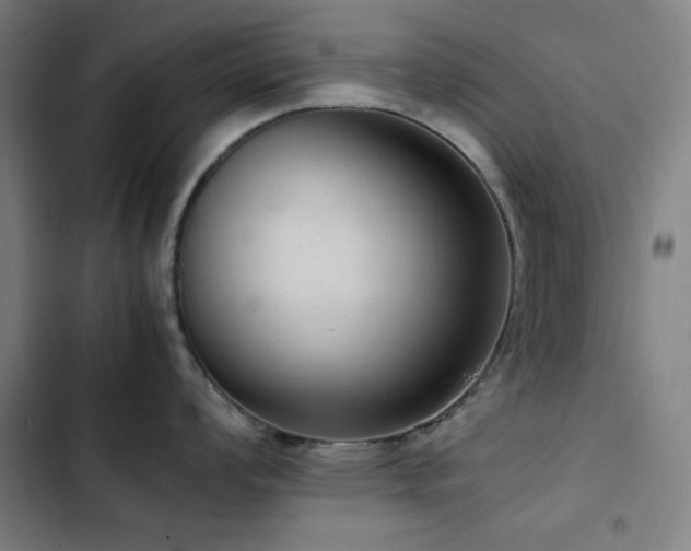 X0000103411008200809121301