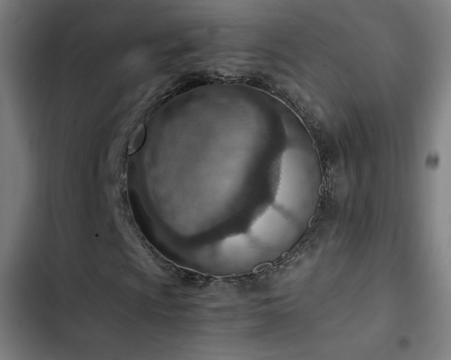 X0000103411009200809121300