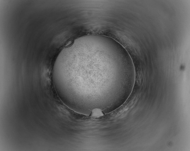 X0000103411010200809121300
