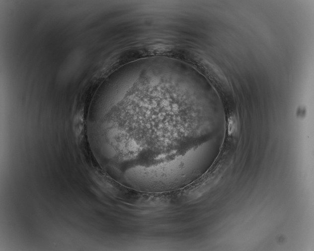 X0000103411011200809121300