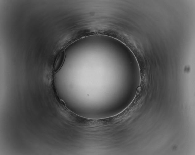 X0000103411012200809121300