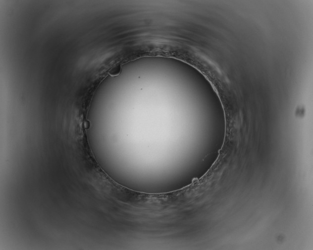 X0000103411013200809121300