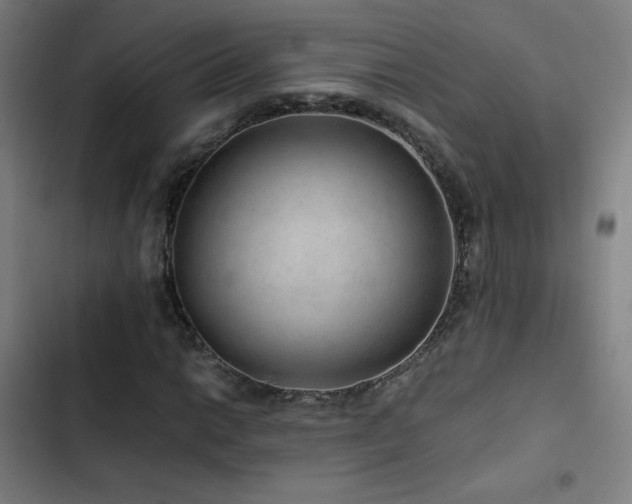 X0000103411014200809121300
