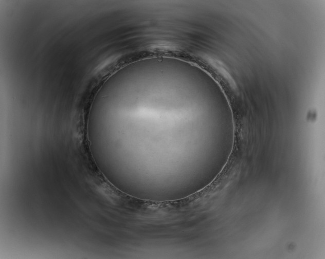 X0000103411015200809121300