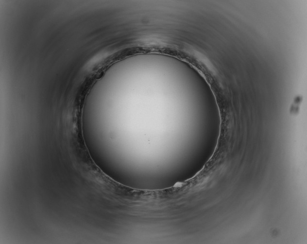X0000103411016200809121300