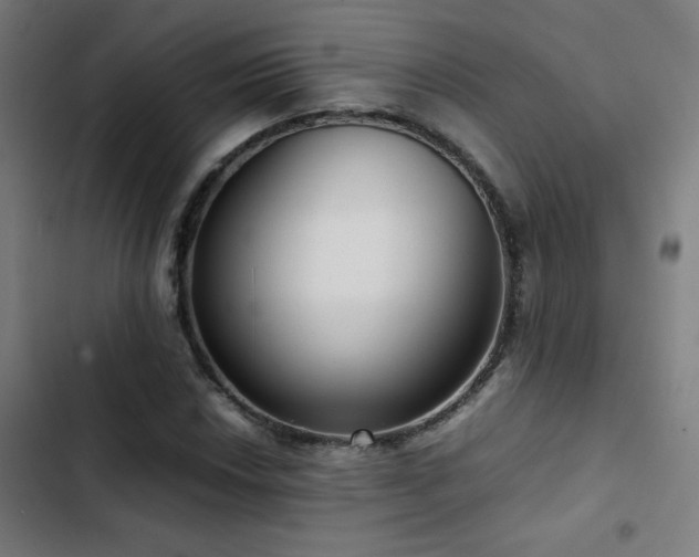 X0000103411018200809121300