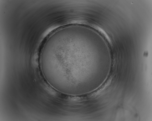 X0000103411019200809121300