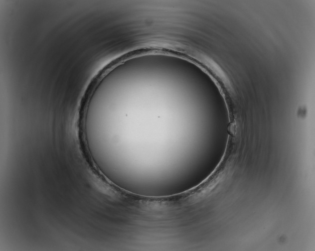 X0000103411020200809121300