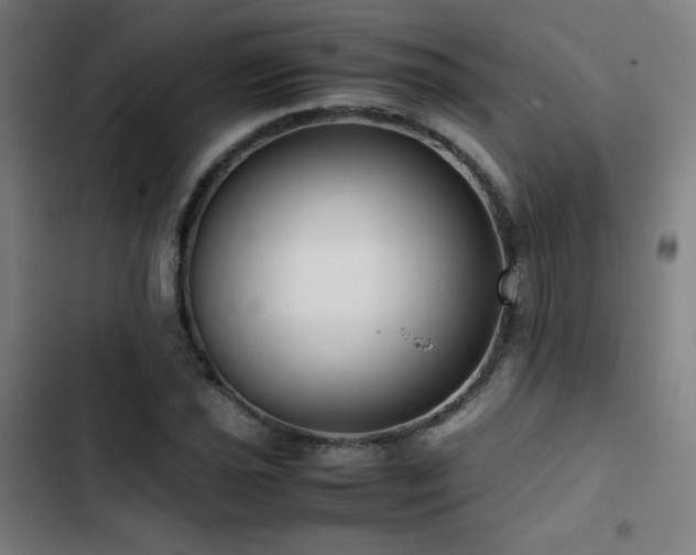 X0000103411021200809121300