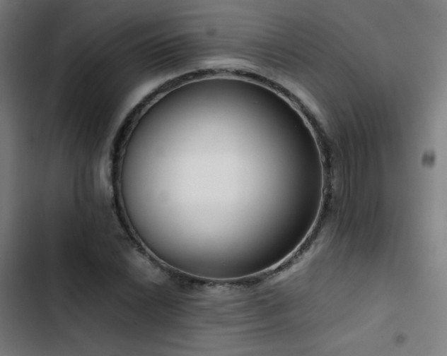 X0000103411022200809121301