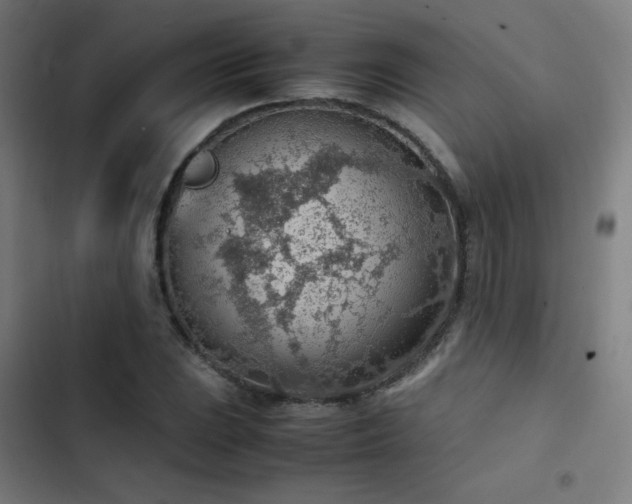 X0000103411023200809121301
