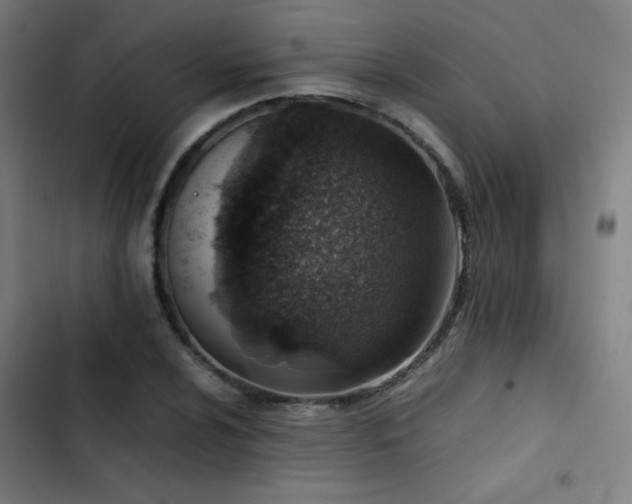 X0000103411024200809121301