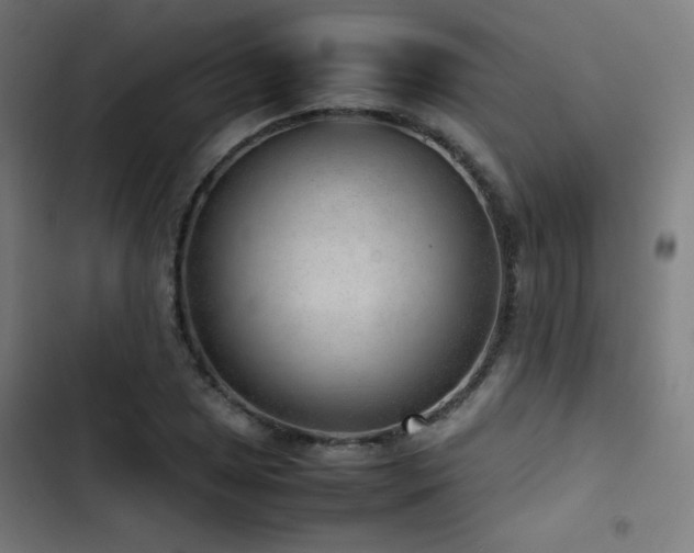 X0000103411025200809121301