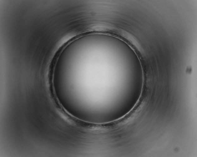 X0000103411026200809121301