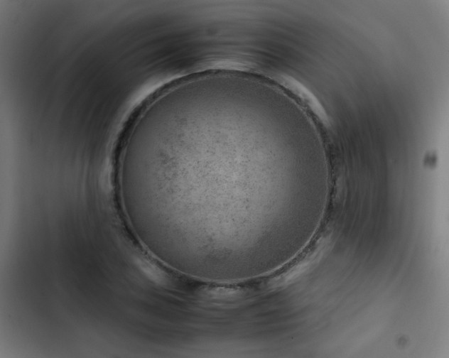 X0000103411027200809121301