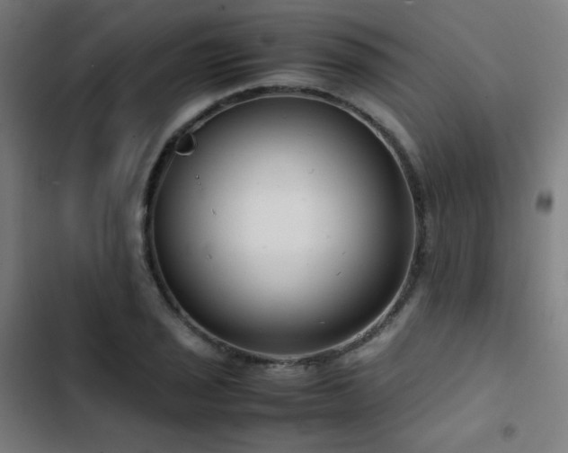 X0000103411029200809121301