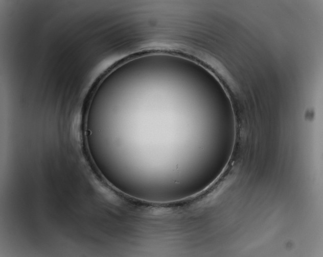 X0000103411030200809121301