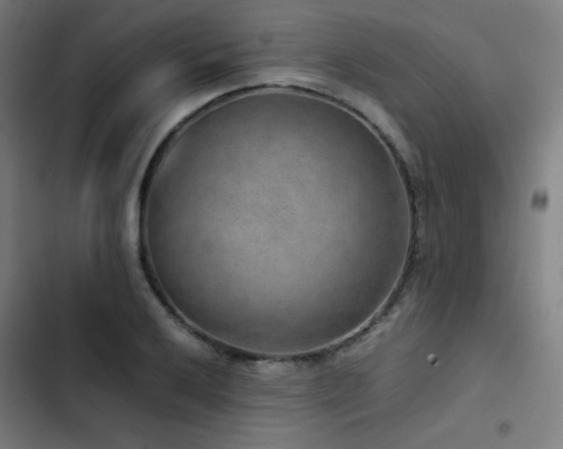 X0000103411032200809121301