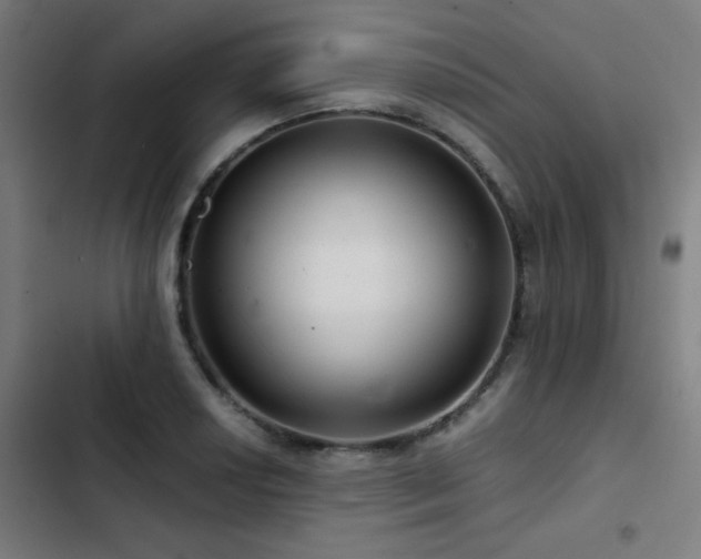 X0000103411034200809121301
