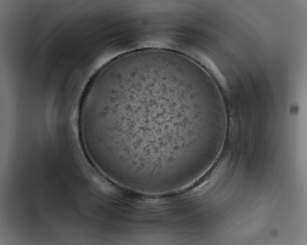X0000103411035200809121301