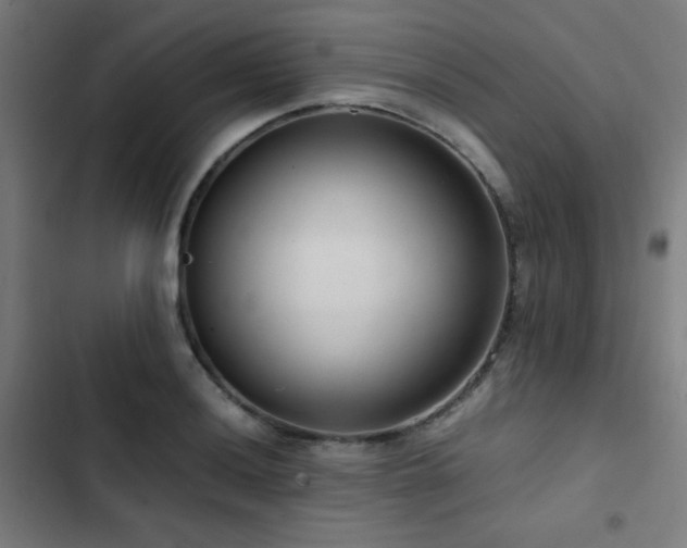 X0000103411036200809121301