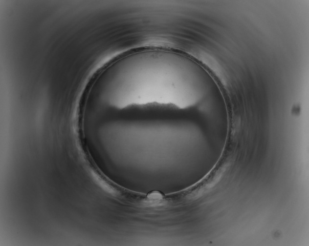 X0000103411037200809121301
