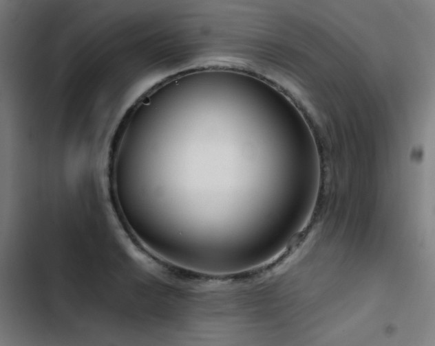X0000103411038200809121301