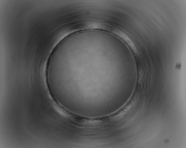 X0000103411039200809121301