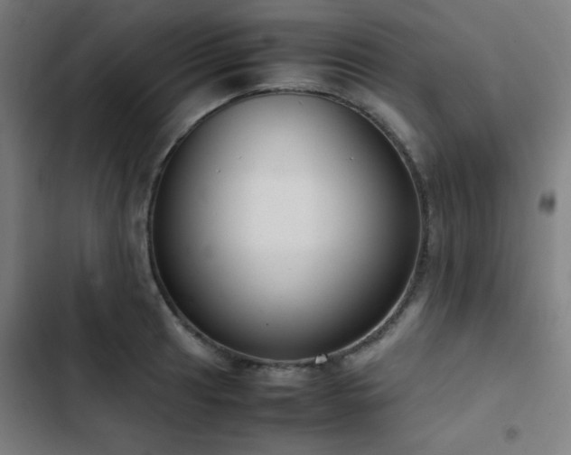 X0000103411041200809121301