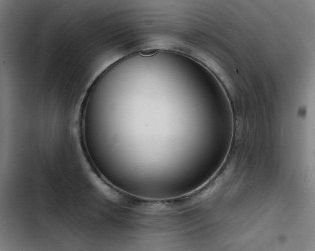 X0000103411042200809121301