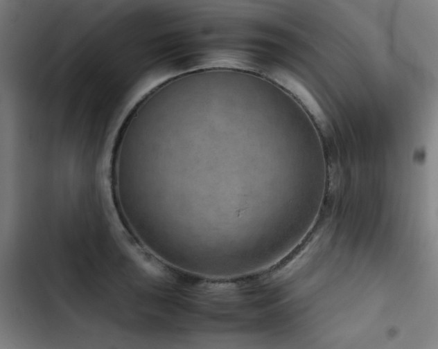 X0000103411043200809121301