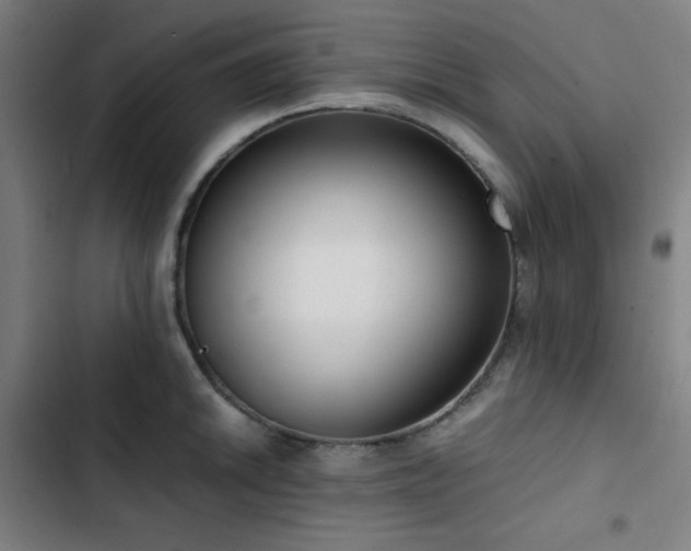 X0000103411046200809121301