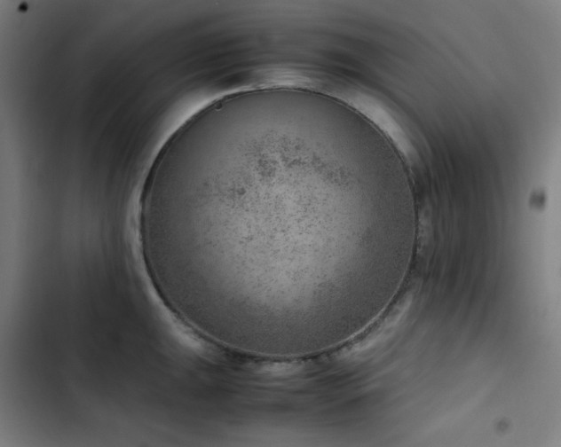 X0000103411047200809121301