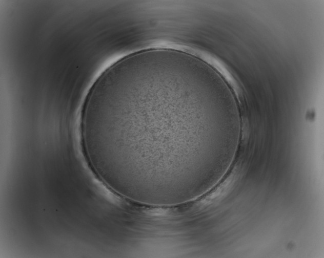 X0000103411048200809121301