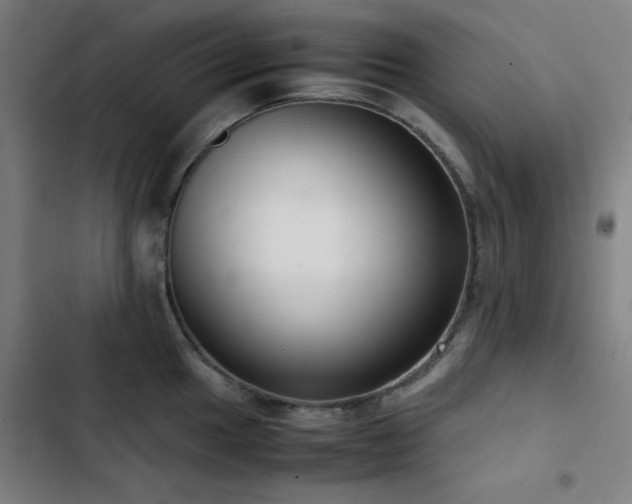 X0000103411049200809121301
