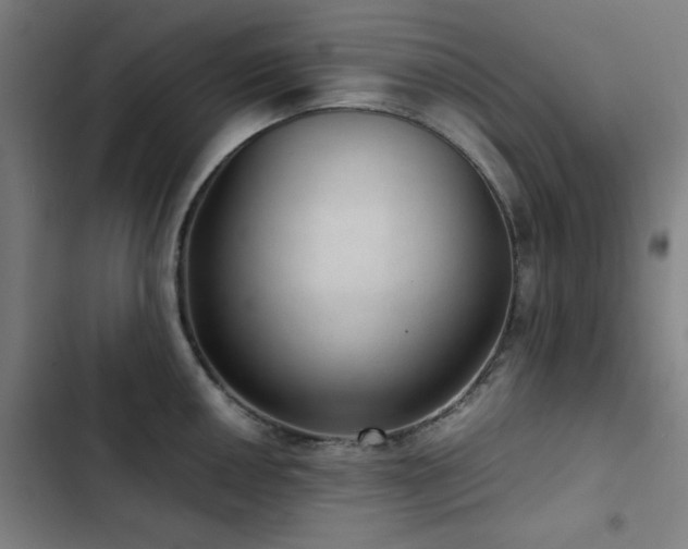 X0000103411050200809121301
