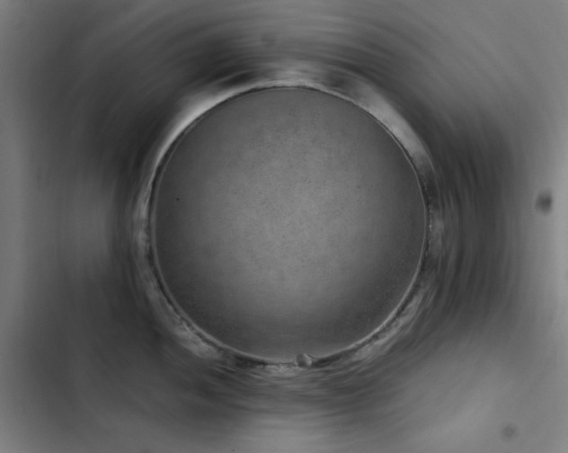 X0000103411052200809121301
