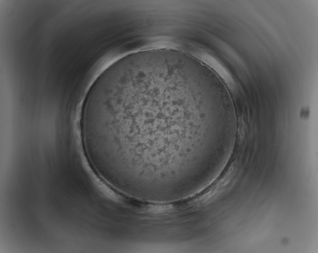 X0000103411055200809121301