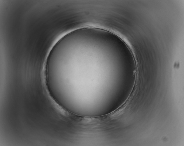 X0000103411056200809121301