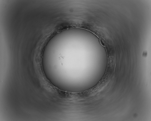 X0000103411057200809121300